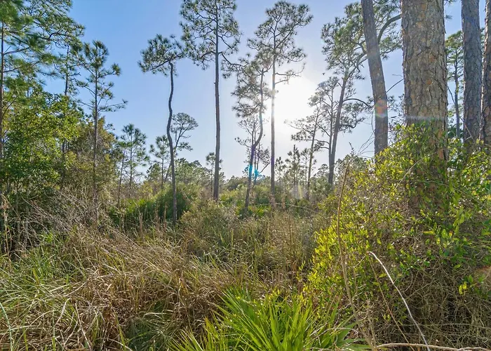 The Rookery #3002 Gulf Shores
